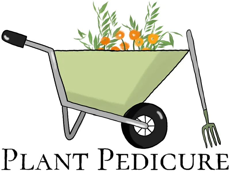 Plant Pedicure Garden Maintenance In Essex