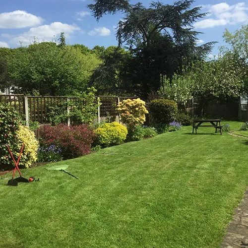 Regular Or One-off Garden Services In Clacton-on-Sea, Essex